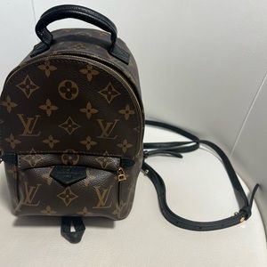 Louis Vuitton palm spring mini